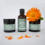 Welcome Baby Trio Gift Box
