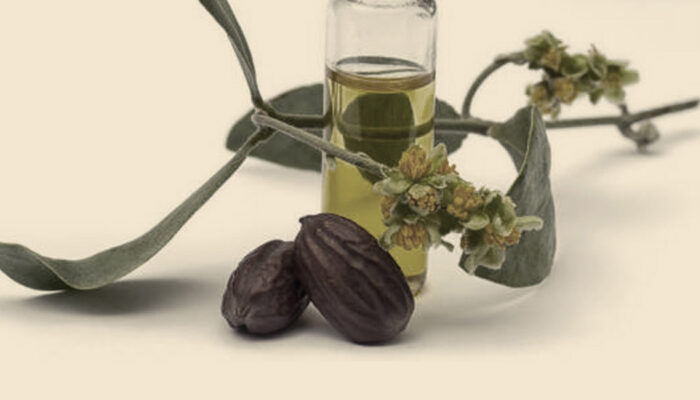 Jojoba Oil – Great For Sensitive Skin