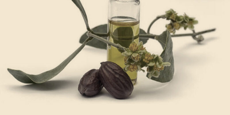 Jojoba Oil – Great For Sensitive Skin